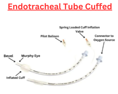 Endotracheal-tube-Cuffed